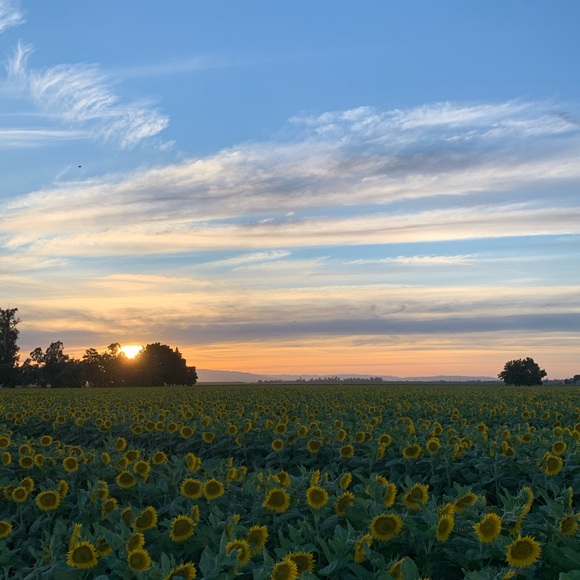 Meet your Posher, Kylie - Picture 1 of 1